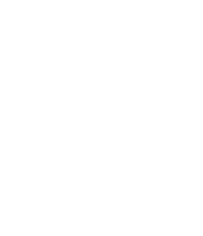 logo catta